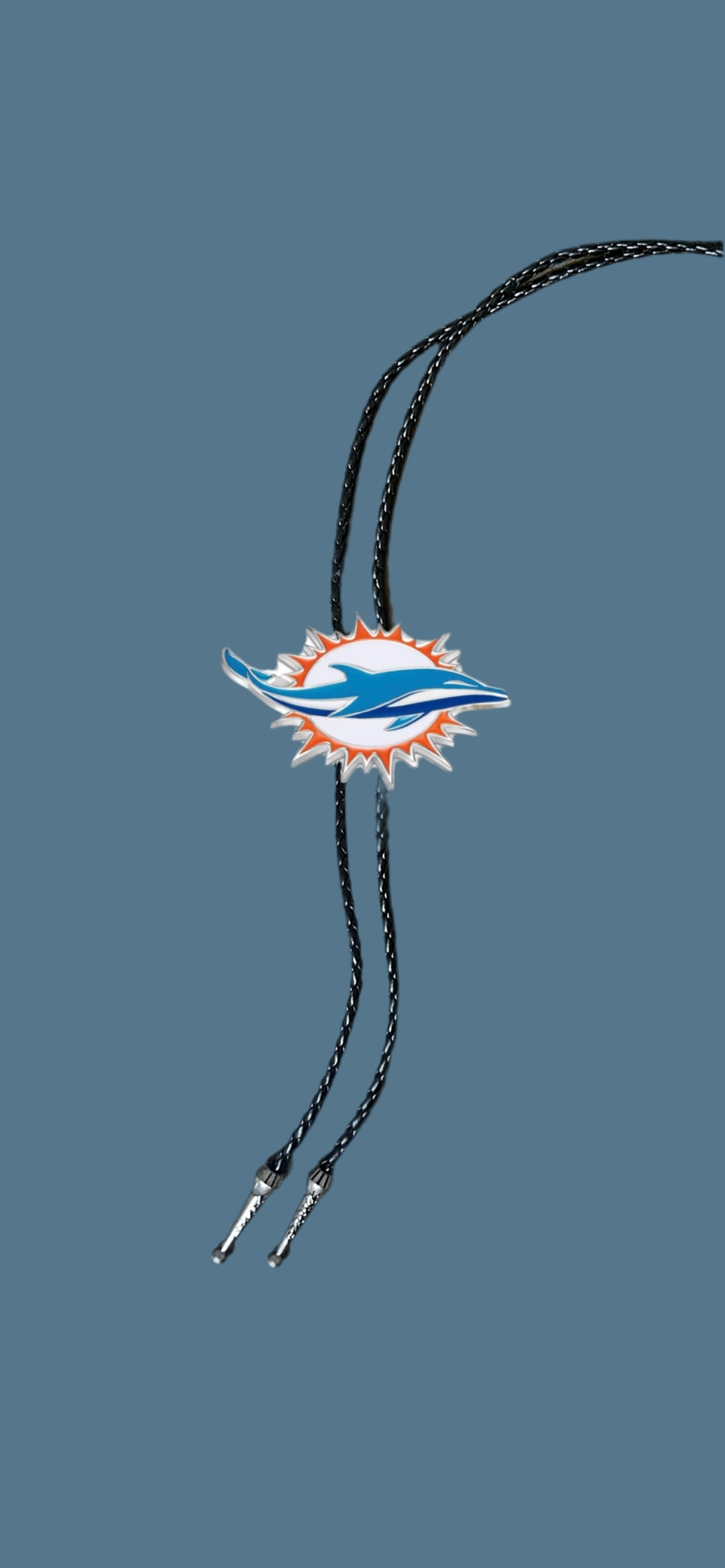 Dolphins Bolo